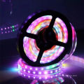 Flexible Waterproof Outdoor IP68 Digital RGB Ws LED Strip Lights